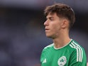 Panathinaikos' Georgios Vagiannidis pictured on August 15, 2023
